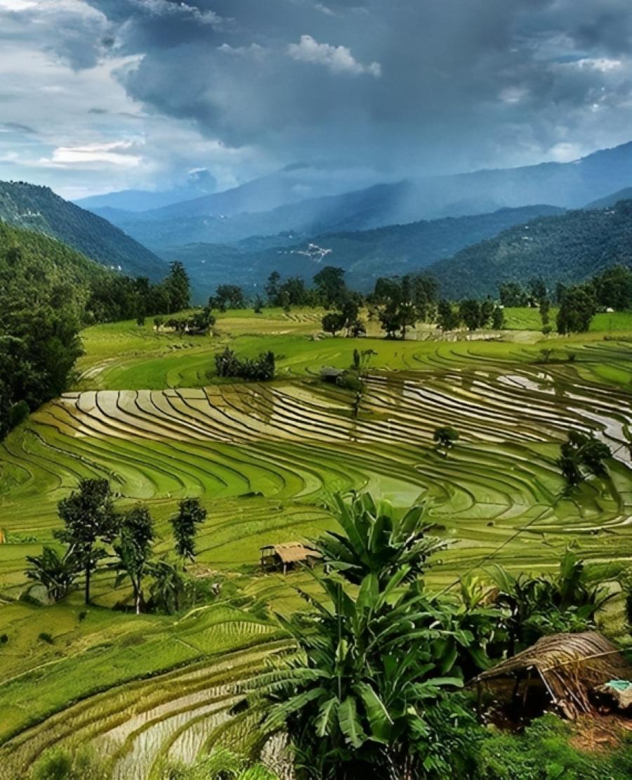 Dzongu Valley