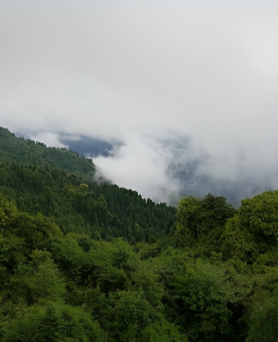 Tashi View Point