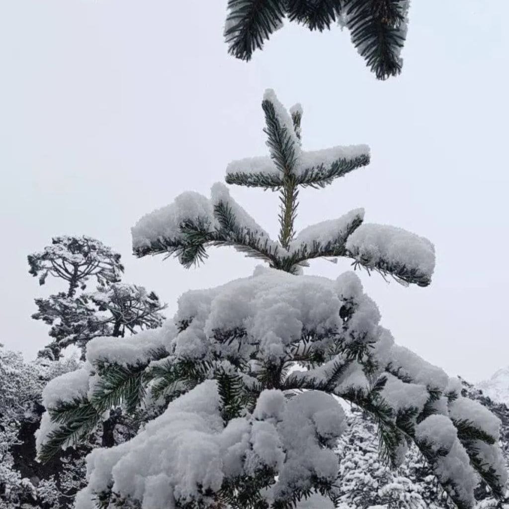 NORTH SIKKIM