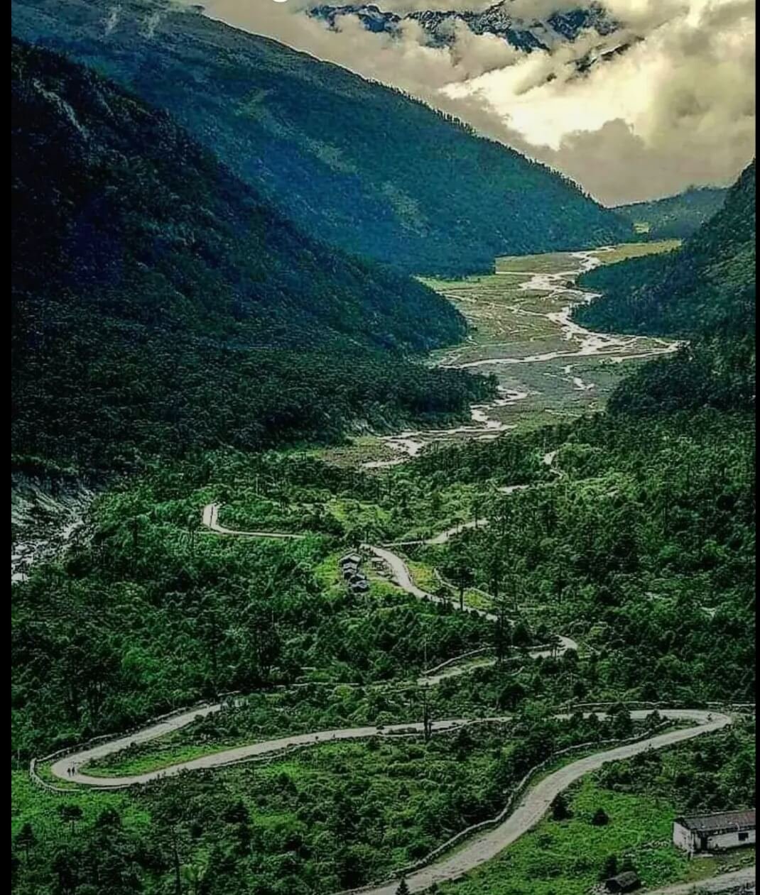 YUMTHANG VALLEY